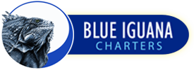 Blue Iguana Charters
